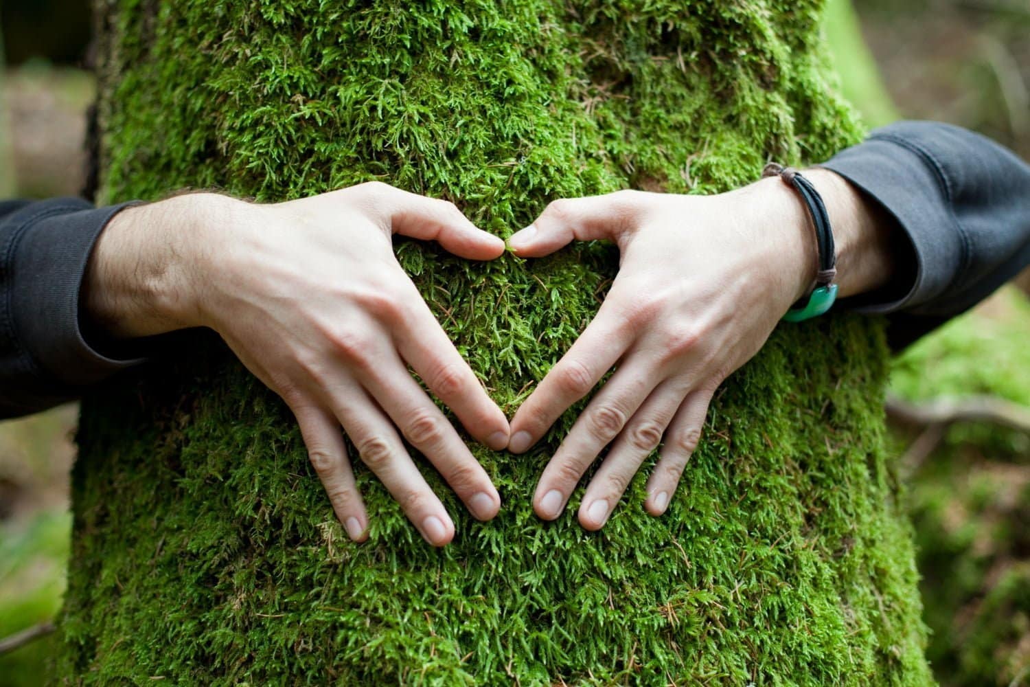 Conseils pour maintenir un style de vie écologique et durable