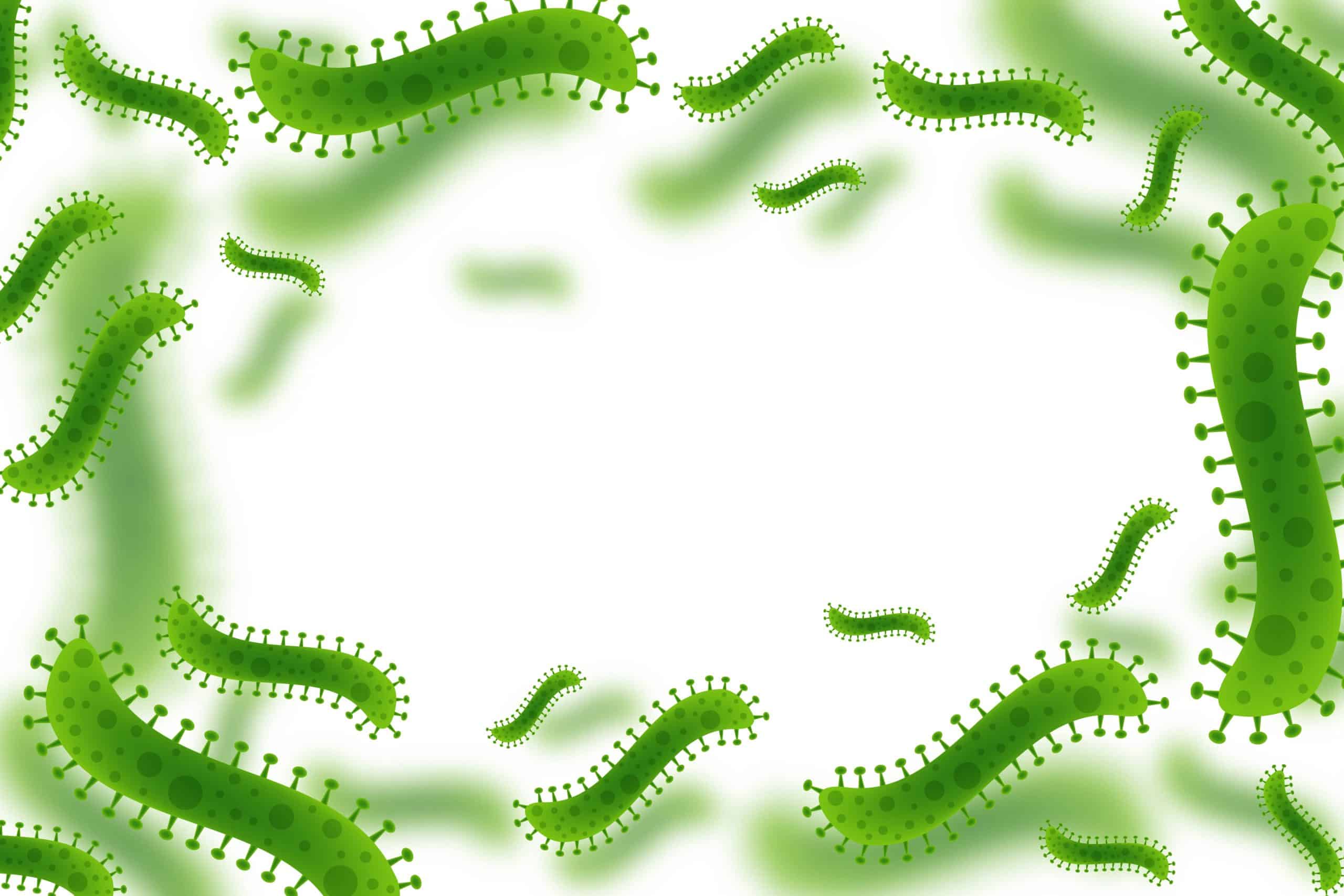 Infection par un parasite : ce qu’il faut savoir