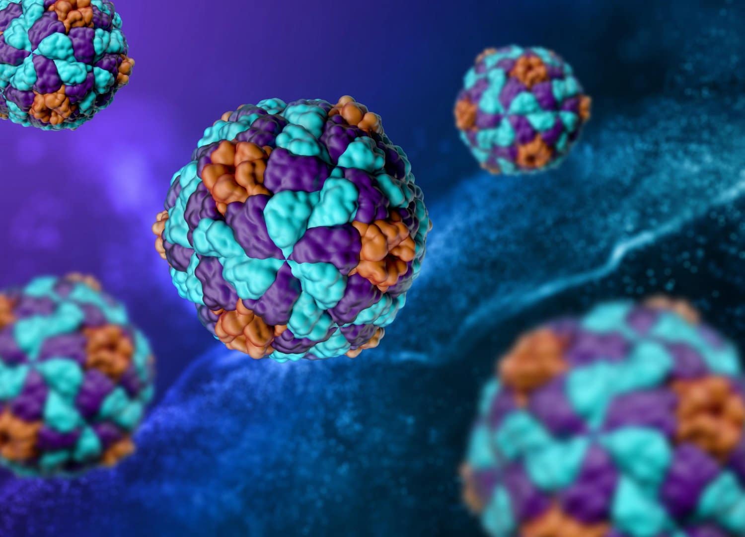 Virus et cancer : ce qu’il faut savoir pour vraiment se protéger