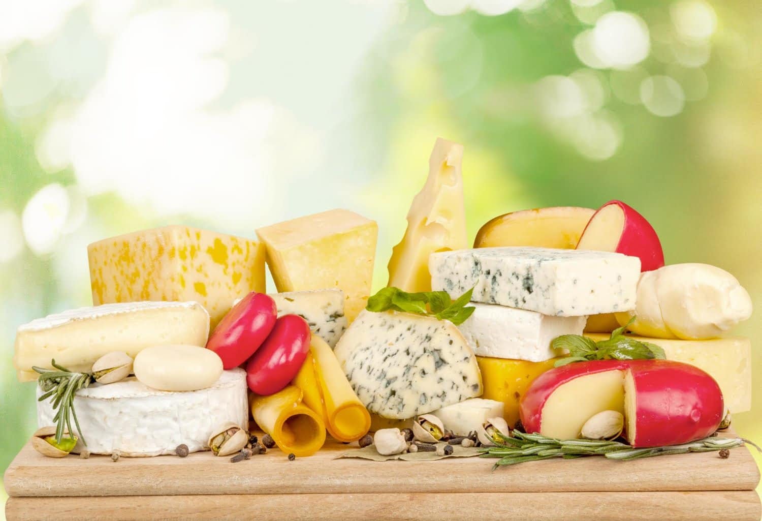 Fromages faibles en calories : les meilleures options pour garder la ligne