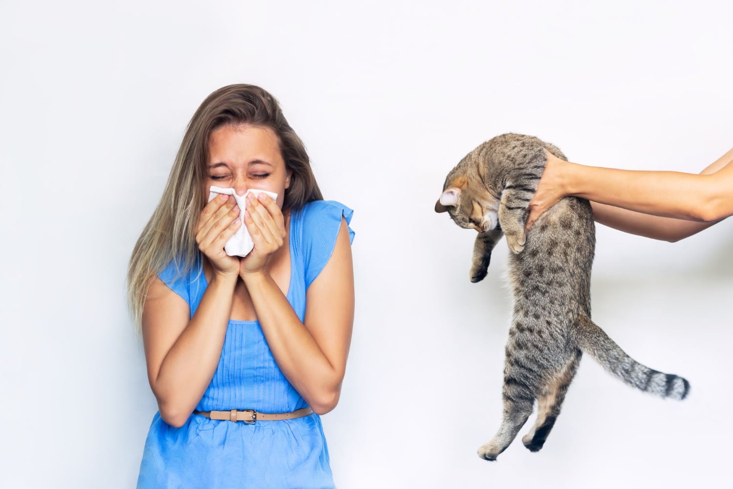 Vivre avec une allergie à son animal de compagnie : solutions concrètes et conseils