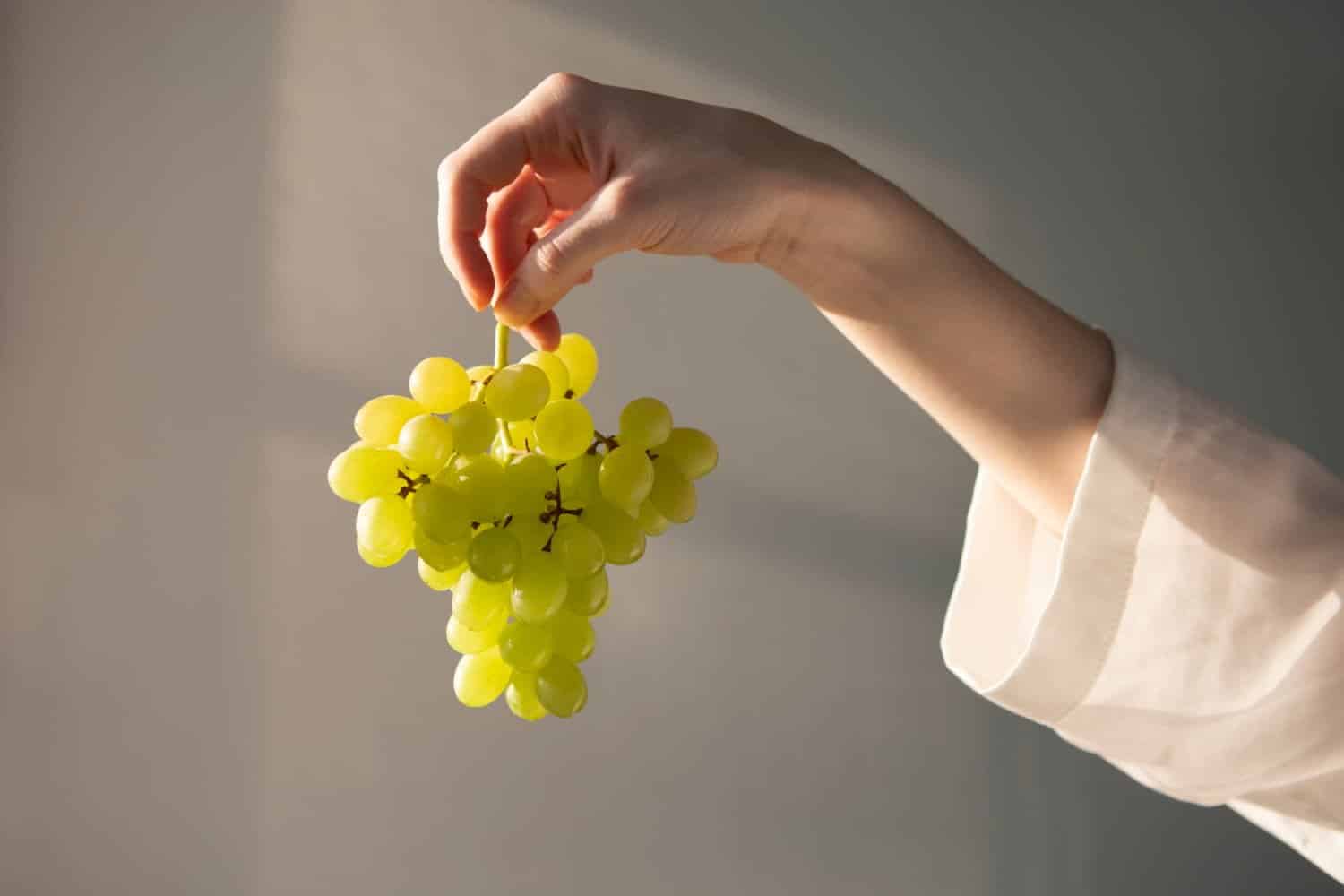 Raisin super-aliment : pourquoi mérite-t-il ce titre ?