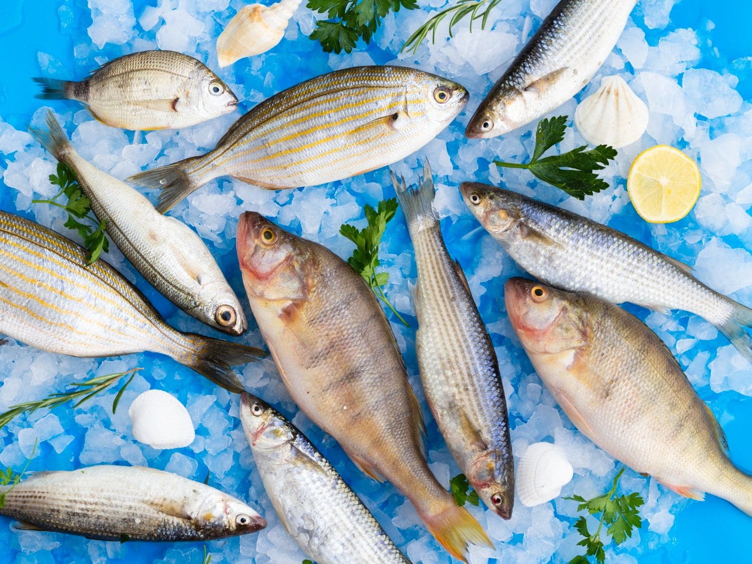 Quels poissons contiennent le plus de mercure?