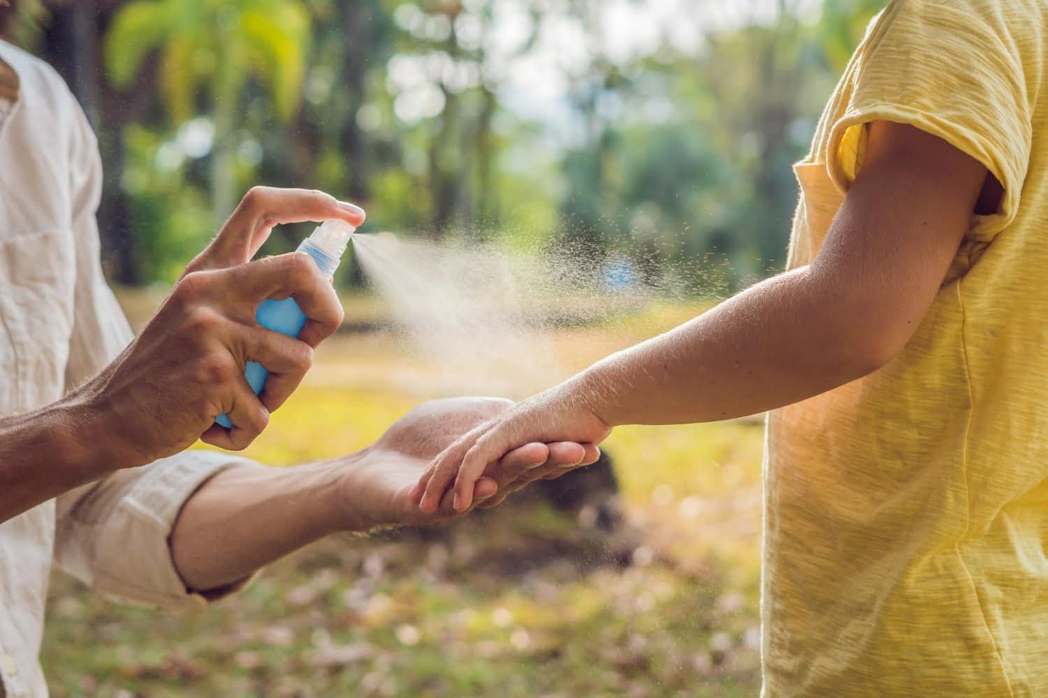 Recettes de sprays anti-insectes maison pour votre peau, votre habitat et votre jardin