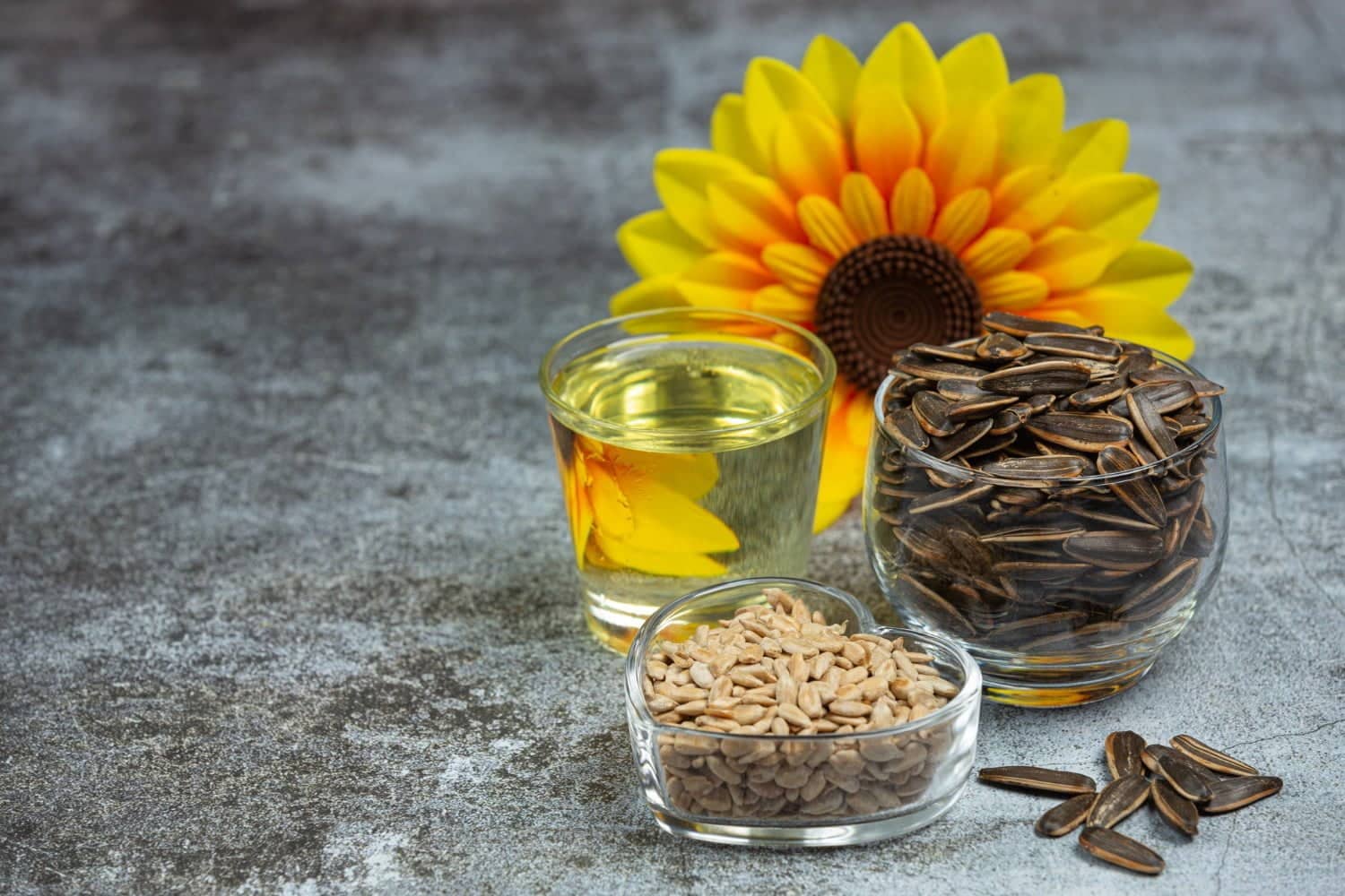 Les bienfaits des graines de tournesol pour la santé