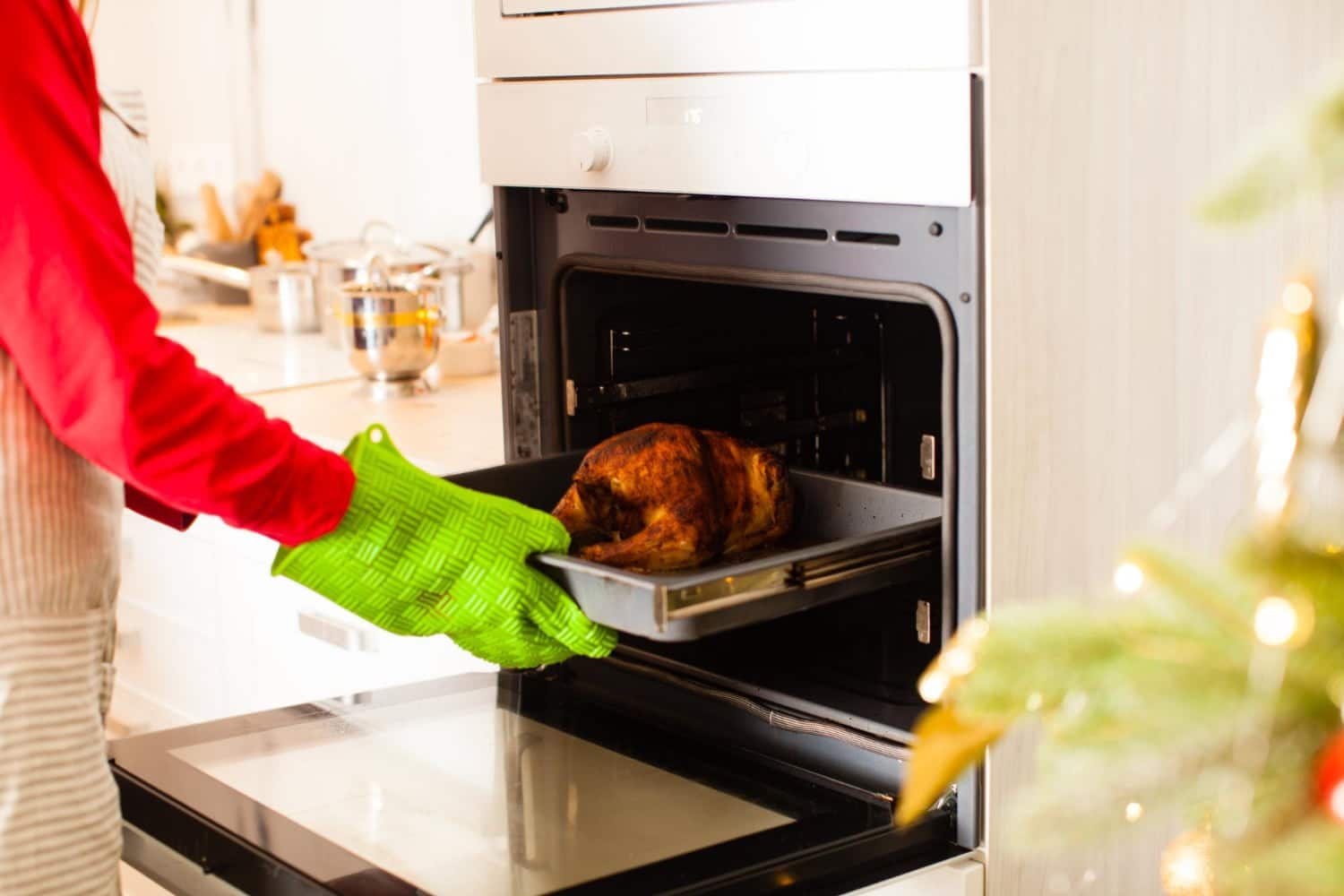 Poulet ou dinde : Quelle est l’option la plus saine pour faire le plein de protéines maigres