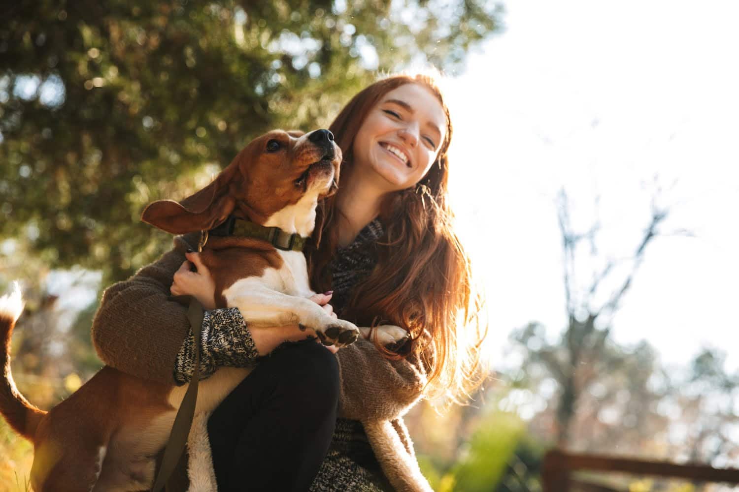 Ces maladies que vos animaux de compagnie peuvent vous transmettre et récirpoquement