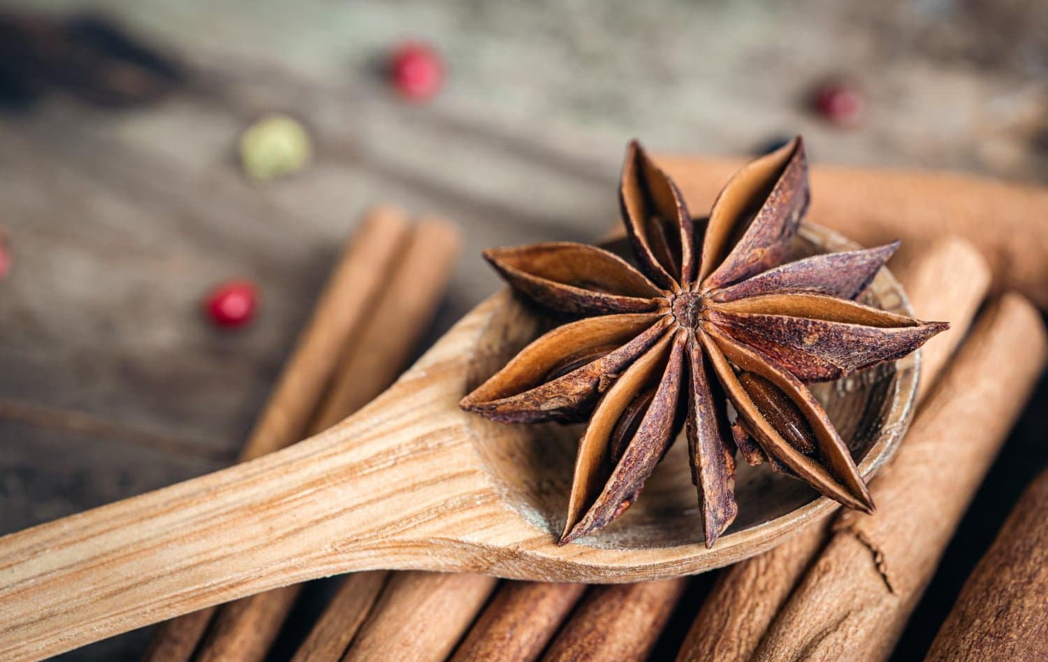 Comment bien conserver et utiliser la graine d’anis en cuisine
