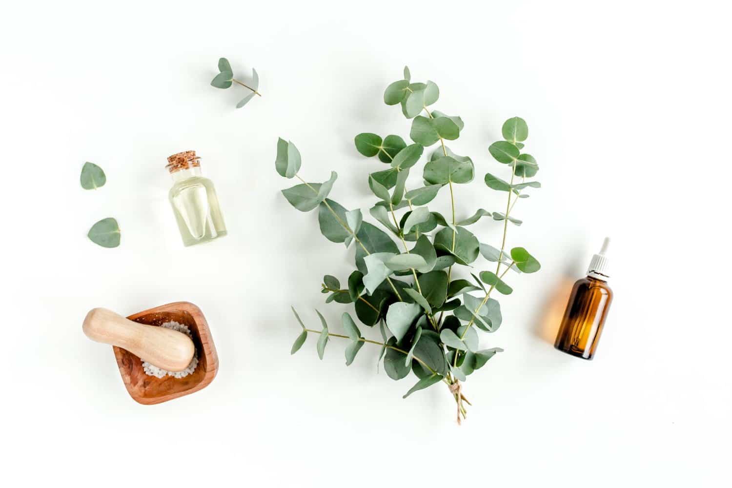 Les erreurs courantes avec l’eucalyptus en aromathérapie