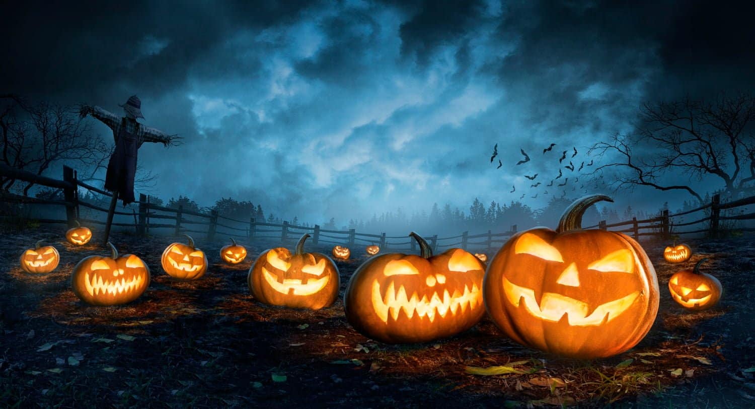 Halloween: Qu’est-ce qui se passe dans le corps lorsque vous regardez un film d’horreur ?