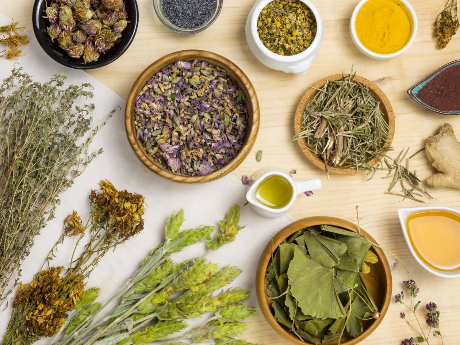 Conserver et sécher les plantes médicinales : Efficacité maximale