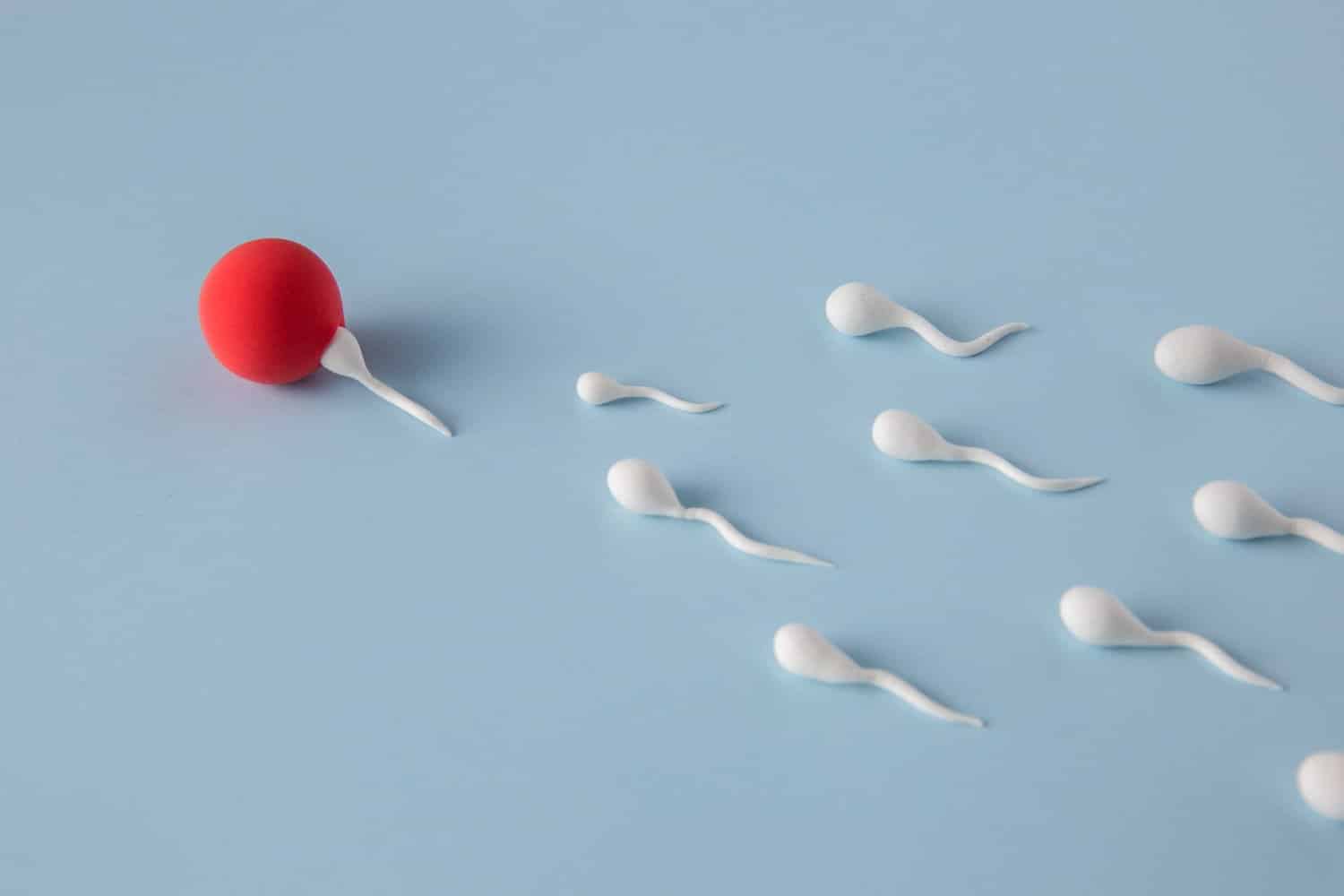 Fertilité masculine : privilégier le boxer ou le slip? Que disent les études ?