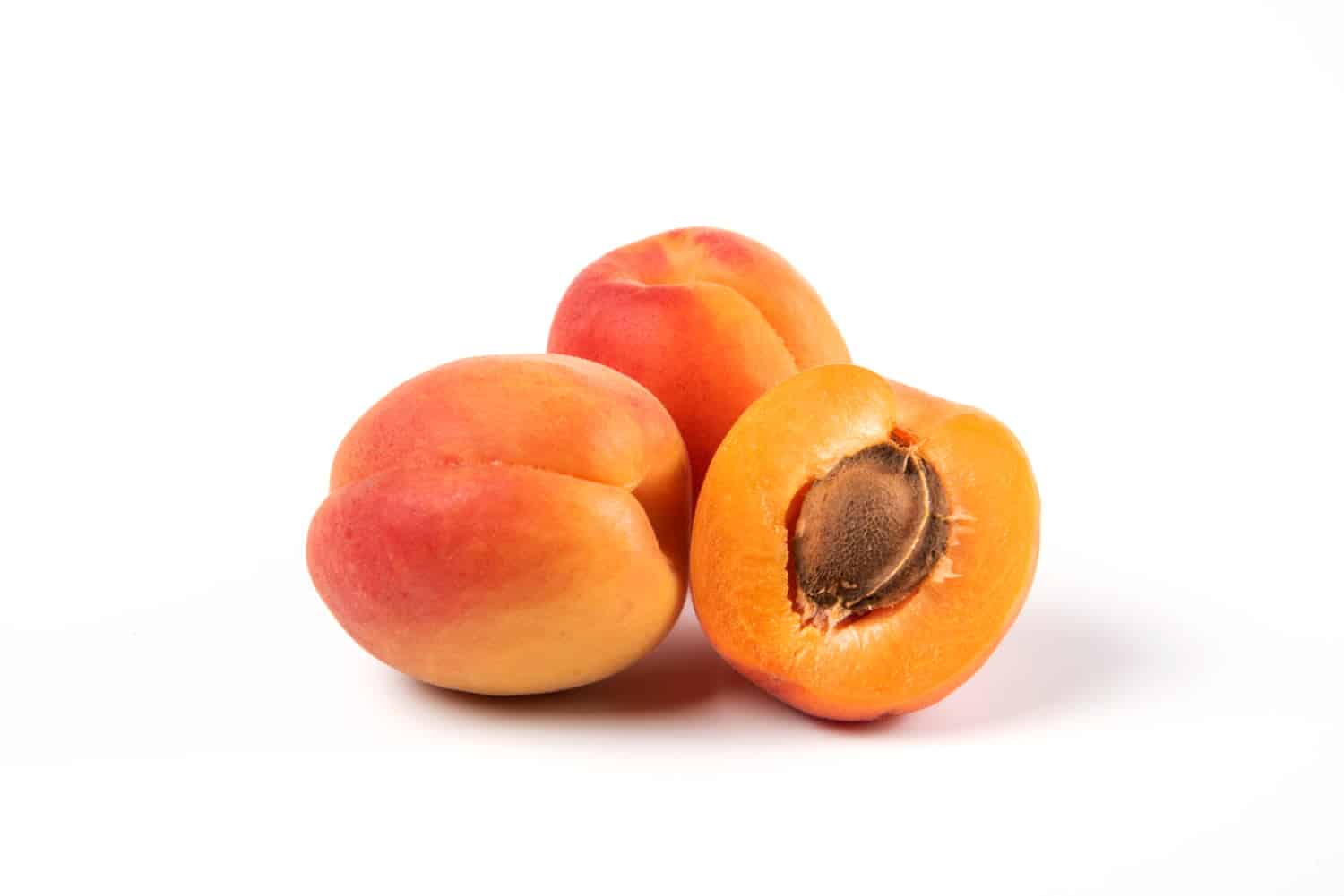 Les abricots: les secrets de ces trésors orange