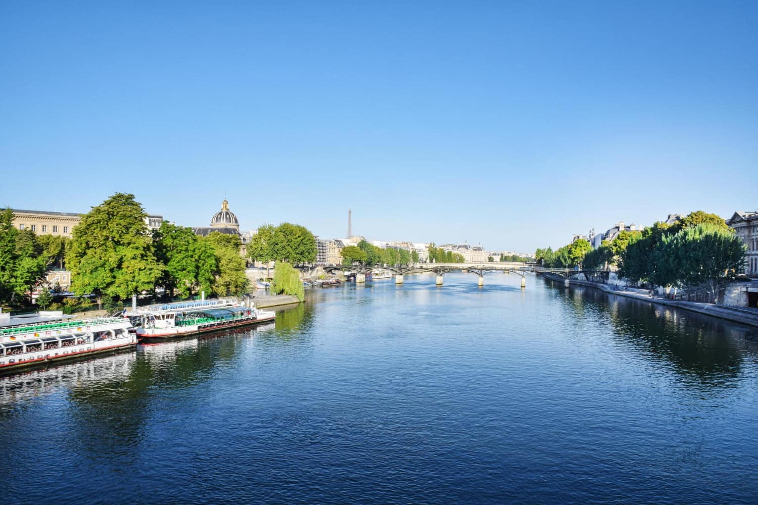Jeux olympiques: quels polluants de la Seine a pu rendre malade les nageurs?