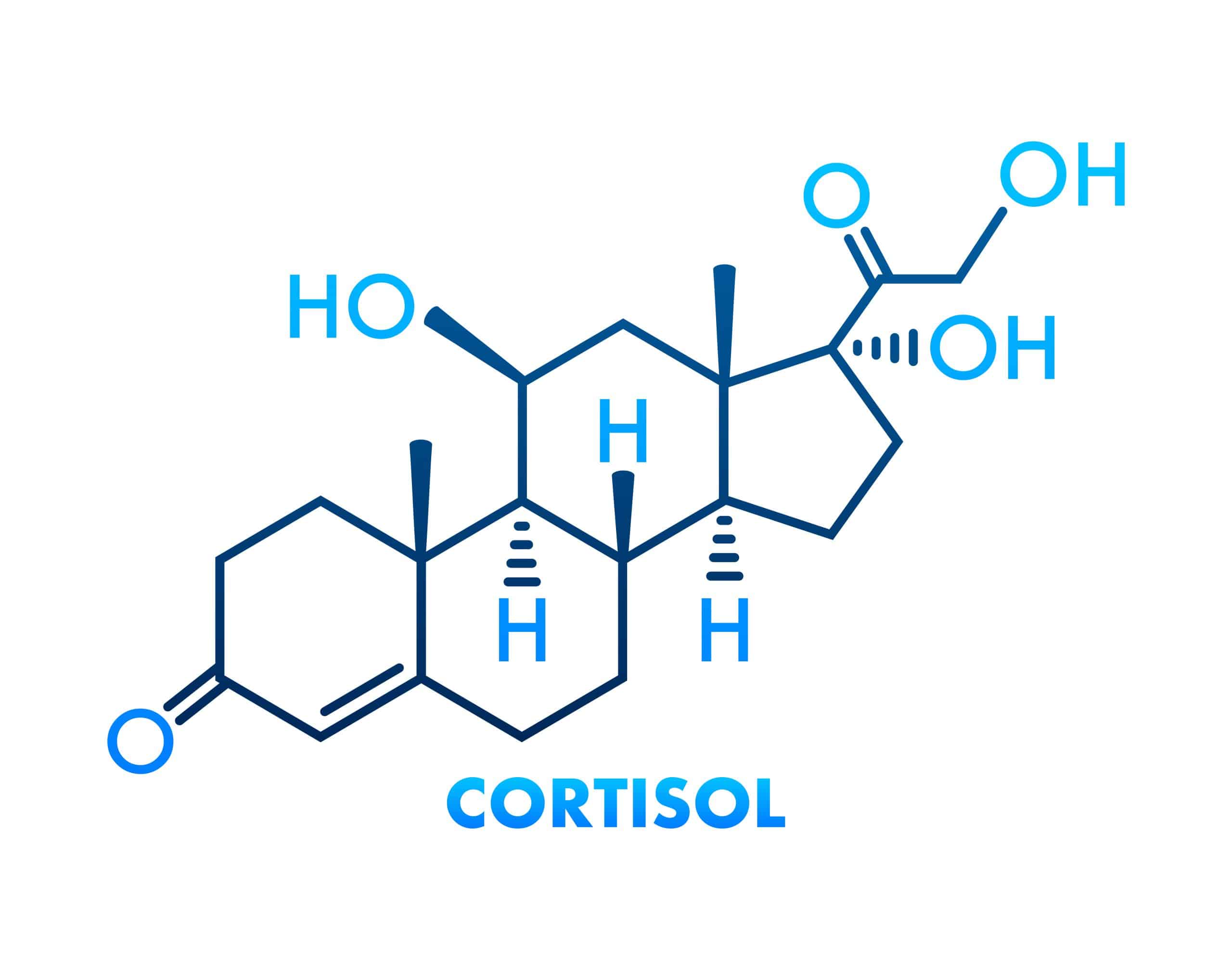 Cortisol et santé : 9 mythes à oublier